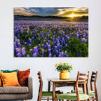 Texas Bluebonnet Field at Sunset Wall Art