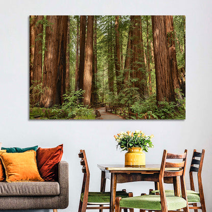 Muir Woods Redwood Trail Wall Art