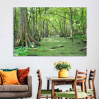 Summer Cypress Bayou, Louisiana Wall Art