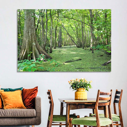 Summer Cypress Bayou, Louisiana Wall Art