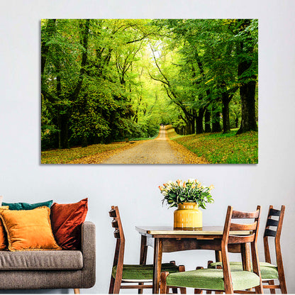 Forest Illuminated Pathway Wall Art