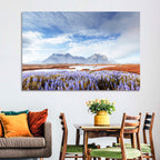 Lupine Fields at Vestrahorn Wall Art