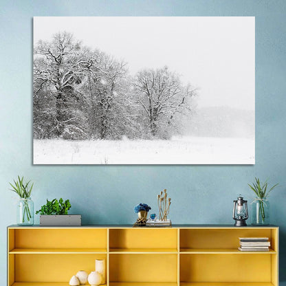 Snow-covered Trees in Fog Wall Art