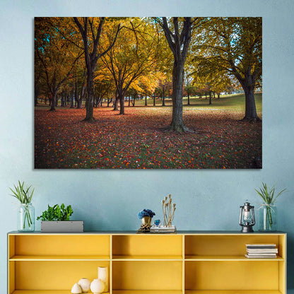 Autumn Park Trees, Pennsylvania Wall Art