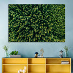 Aerial Conifer Canopy Wall Art