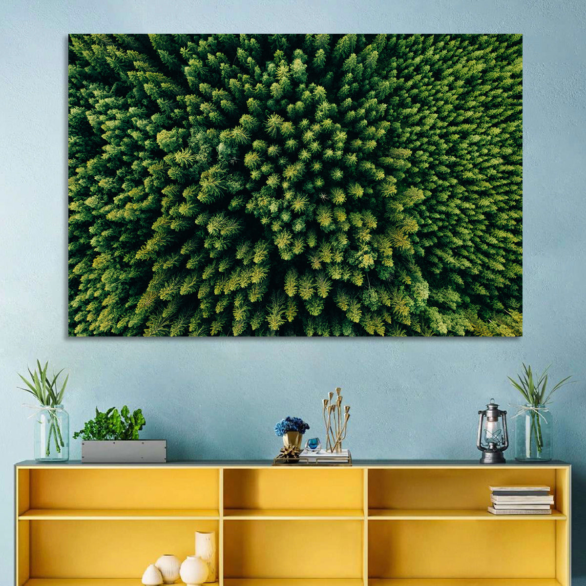 Aerial Conifer Canopy Wall Art