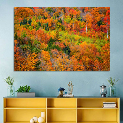 Vermont Autumn Mountain Forest Wall Art
