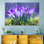 Rainy Purple Crocuses Wall Art