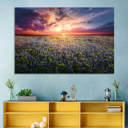 Texas Bluebonnet Sunset Wall Art