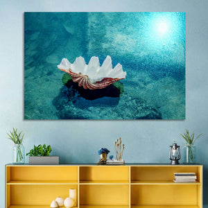 Beach Shell Wall Art