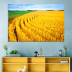 Summer Wheat Field with Curved Paths Wall Art