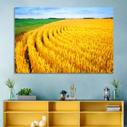 Summer Wheat Field with Curved Paths Wall Art