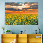 Golden Hour Sunflower Field Wall Art