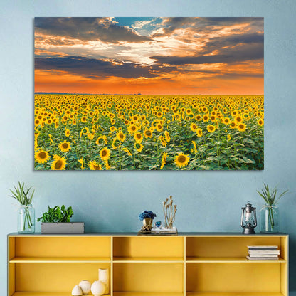 Golden Hour Sunflower Field Wall Art