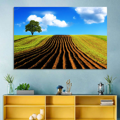 Plowed Field with Lone Tree Wall Art