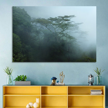 Misty Rainforest Canopy Wall Art