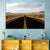 Nevada Highway Wall Art