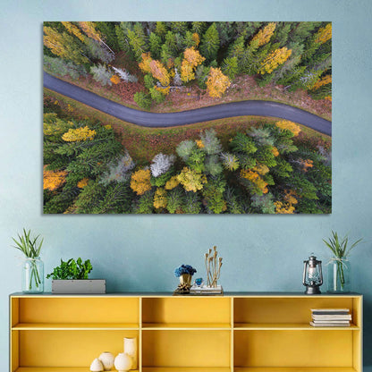 Aerial Autumn Forest Road Wall Art