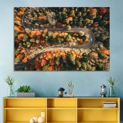 Aerial Winding Autumn Forest Road Wall Art