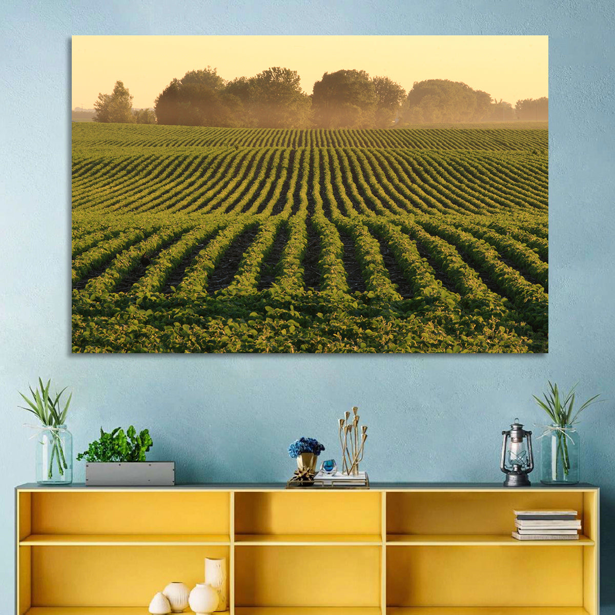 Misty Soybean Field at Dusk Wall Art