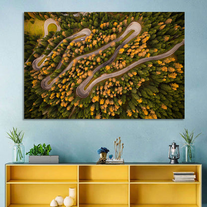 Aerial Curvy Forest Road Wall Art
