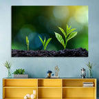 Seedling Growth Stages Wall Art