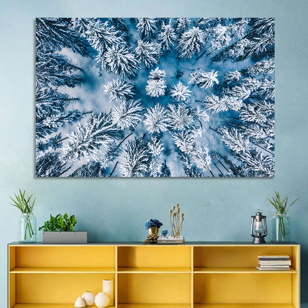 Aerial Snowy Evergreen Canopy Wall Art
