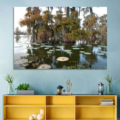 Lake Martin Cypress Swamp Wall Art
