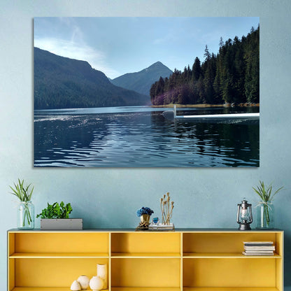 Tongass National Forest Seaplane View Wall Art