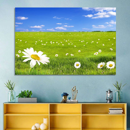 Spring Daisy Meadow Wall Art