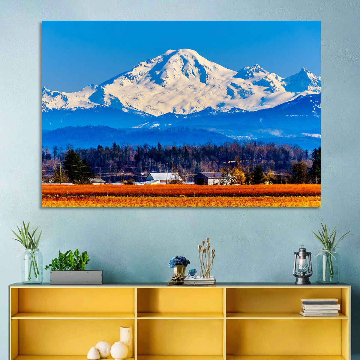 Mount Baker Fields Wall Art