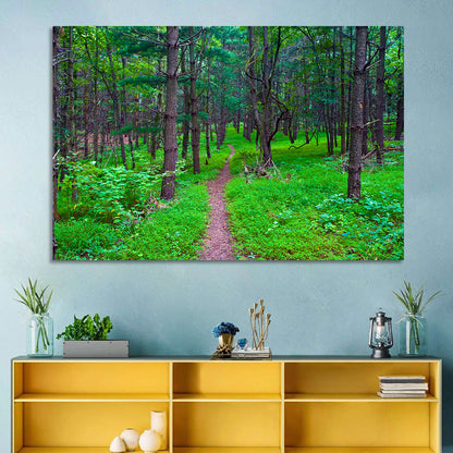 Lush Virginia Forest Trail Wall Art