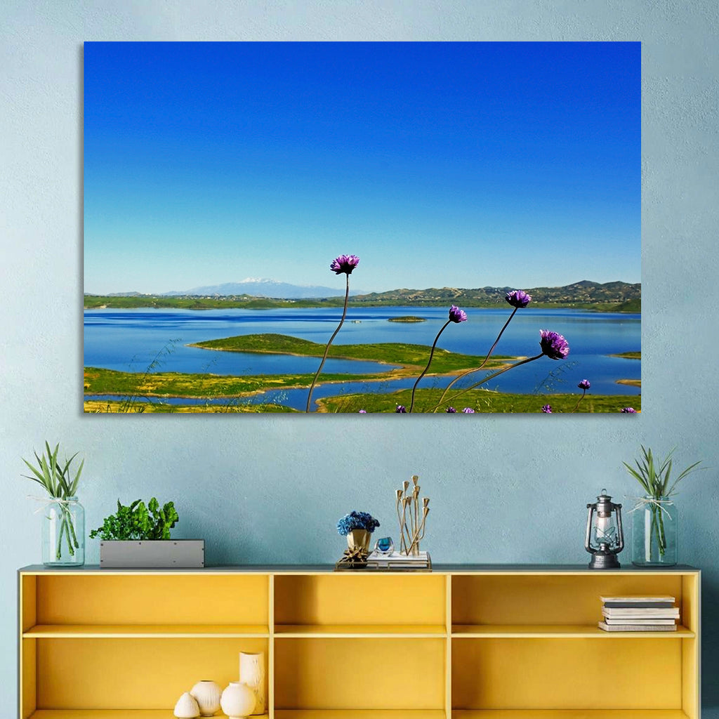 Lake Mathews Wildflower View Wall Art