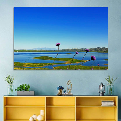 Lake Mathews Wildflower View Wall Art