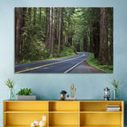 Winding Redwood Forest Road Wall Art