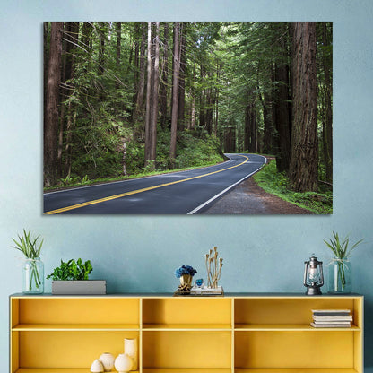 Winding Redwood Forest Road Wall Art