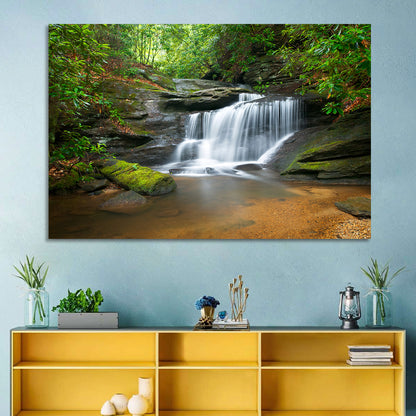Blue Ridge Mossy Waterfall Wall Art