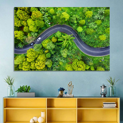 Winding Tropical Forest Road Wall Art