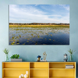 Cloudy Lake Toho Wall Art