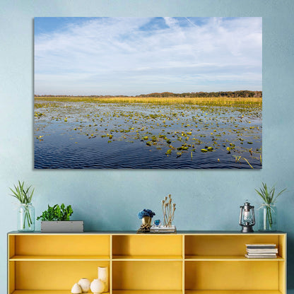 Lake Toho Lily Pads Wall Art