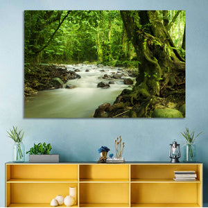 Rainforest River Wall Art