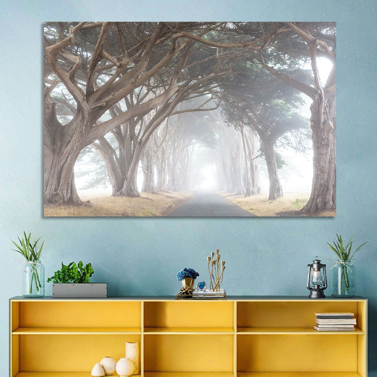 Misty Cypress Tunnel Wall Art