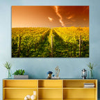 Golden Vineyard Sunset Wall Art