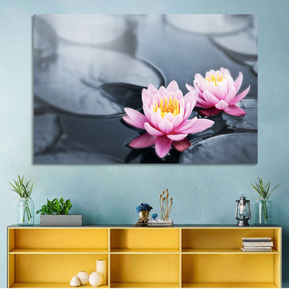 Pink Water Lilies Wall Art