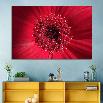 Red Gerbera Daisy Macro Close Up Wall Art