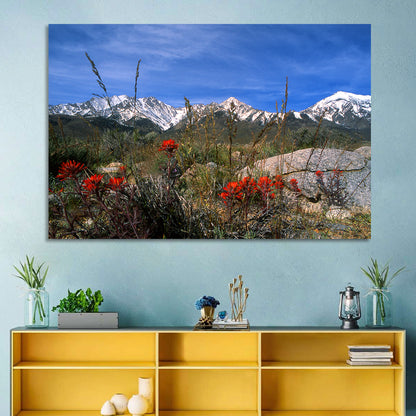 Sierra Nevada Wildflower Vista Wall Art