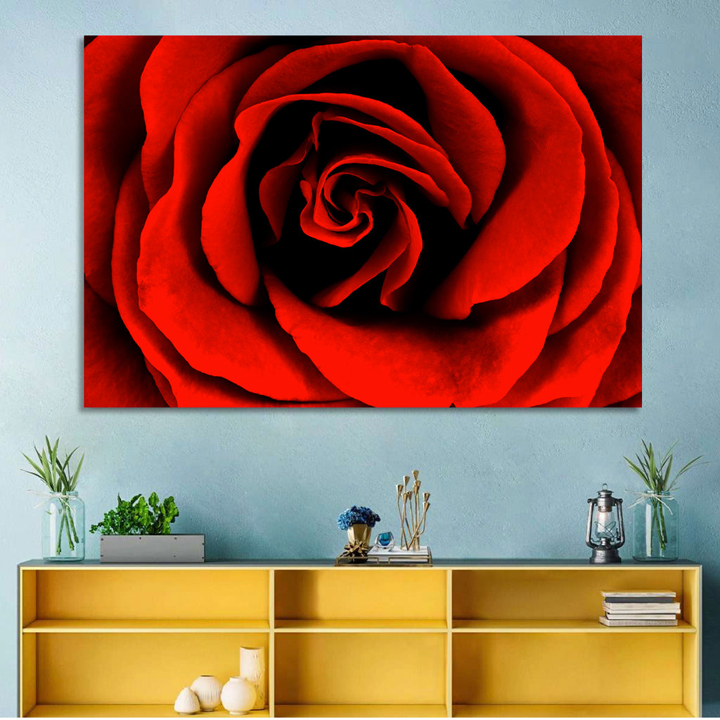 Velvety Red Rose Close-up Wall Art