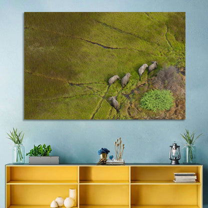 Aerial Herd of Elephants Wall Art