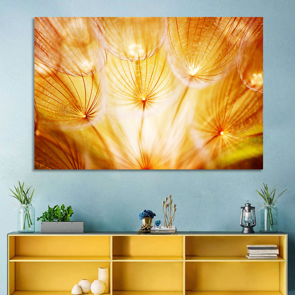 Golden Hour Dandelion Seed Macro Abstract Wall Art