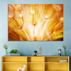 Golden Hour Dandelion Seed Macro Abstract Wall Art